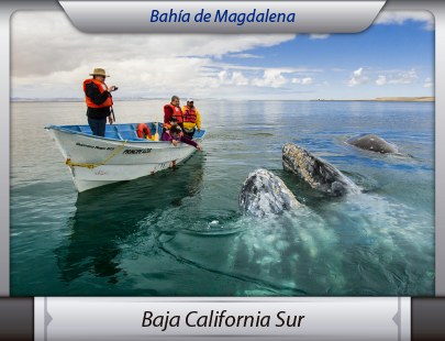 Fletera de la Ciudad de México a Baja California Sur