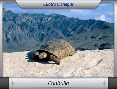 Fletera de la Ciudad de México a Coahuila