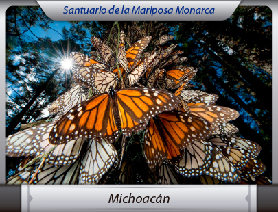 Fletera de la Ciudad de México a Michoacán