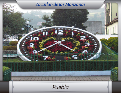 Fletera de la Ciudad de México a Puebla