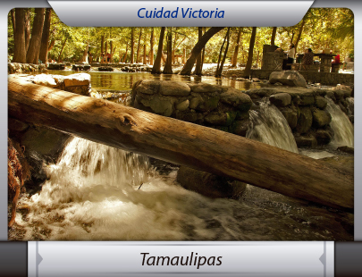 Fletera de la Ciudad de México a Tamaulipas